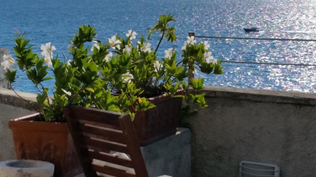 Le Sirene Bed and Breakfast Tellaro Esterno foto